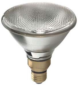 PAR38 light bulb lamp