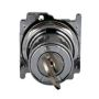 10250T15113 - Sel SW 2P Key Ma Ky/RL - Eaton