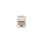 55466W - Jack Modular Cat 6 RJ45 Data WH - Eaton