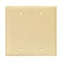 PJ23V - Wallplate 2G Blank Box Mount Poly Mid Iv - Eaton
