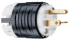 PS5466X - Straight Blade Plug 3W 20A 250V B&W - Legrand-Pass & Seymour