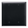 TP23BK - Trademaster Wallplate 2G Blank Box Mount BK - Pass & Seymour/Legrand