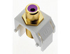 WP3466WH - Purple Rca to F-Connector WH (M20) - Legrand-On-Q